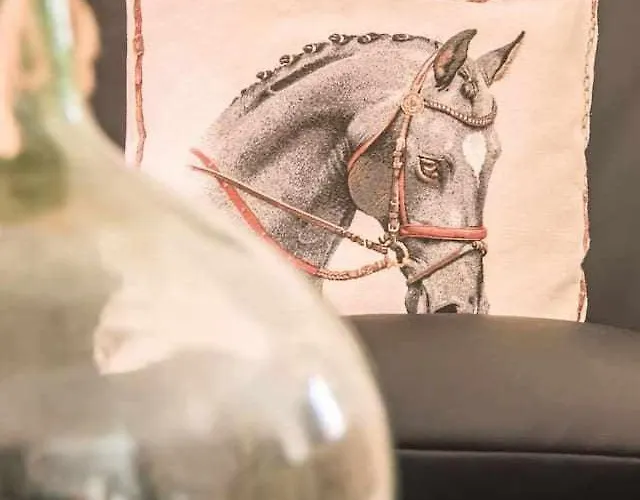 Anju Villas, Tamara * 科拉雷侯